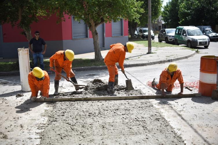 Trabajos de fumigación, iluminación y bacheo previstos para este jueves