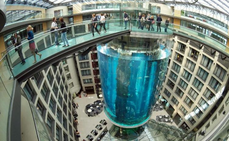 Explotó el acuario cilíndrico más grande del mundo: 1.500 peces muertos