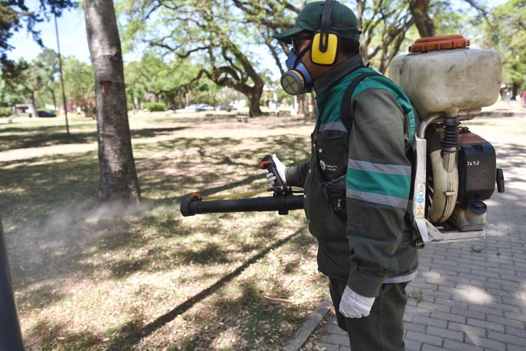 Trabajos de fumigación, iluminación y bacheo previstos para este lunes
