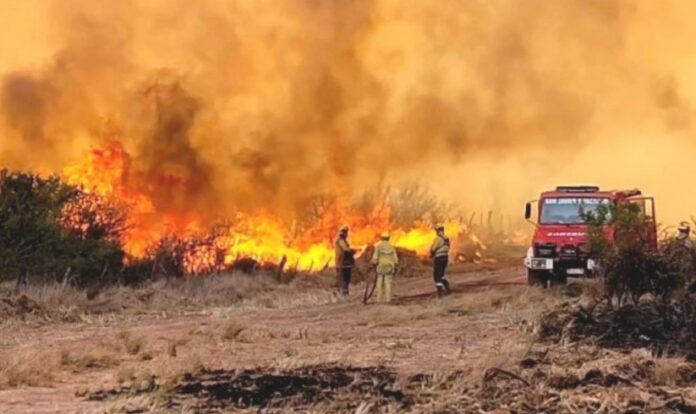 Incendios forestales: seis provincias registran focos activos