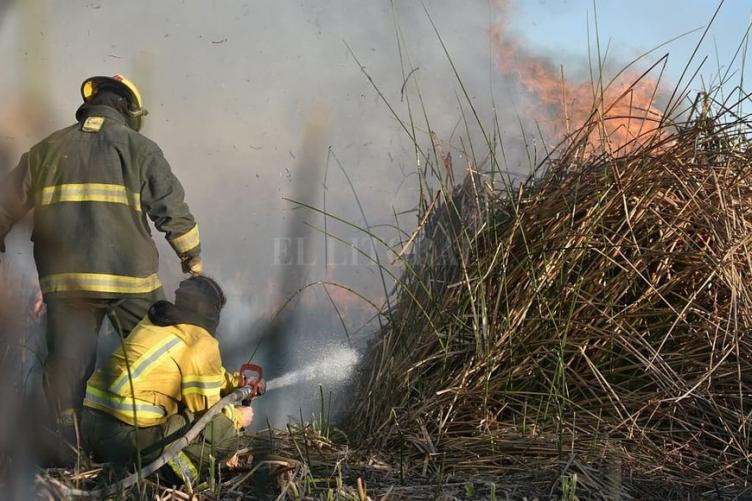 Los bomberos debieron apagar 19 incendios
