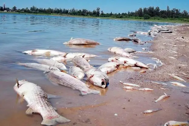 El Instituto Nacional del Agua alertó por la preocupante bajante del Río Paraná