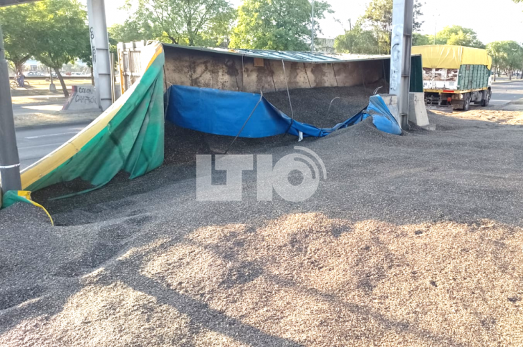 Tránsito cortado en Avenida Alem por el vuelco de un camión