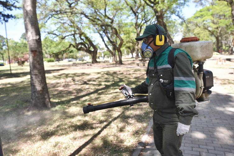 Trabajos de fumigación, iluminación y bacheo previstos para este jueves