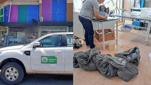 Incautaron 100 kilos de carne por malas condiciones de manipulación 
