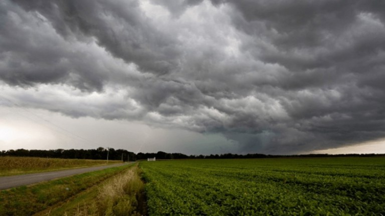 Sequía: las lluvias mejoraron las chances de cosecha en las zonas afectadas