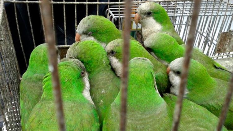Fue dado de alta uno de los internados por la 