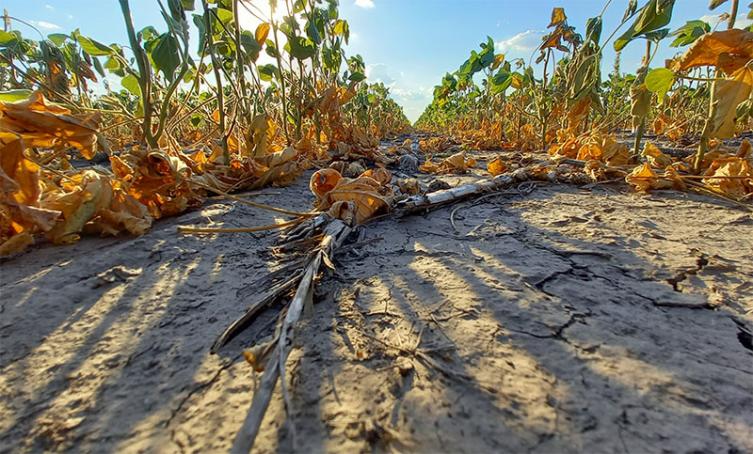 La provincia asistió a más de 800 pequeños productores del norte 