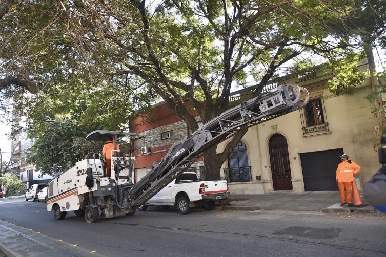 Trabajos de fumigación, iluminación y bacheo para este lunes