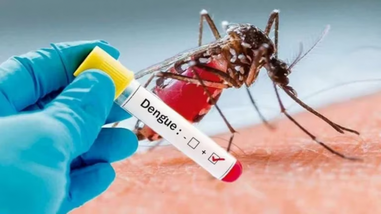 Fuerte aumento de los casos de dengue y chikungunya en la Argentina