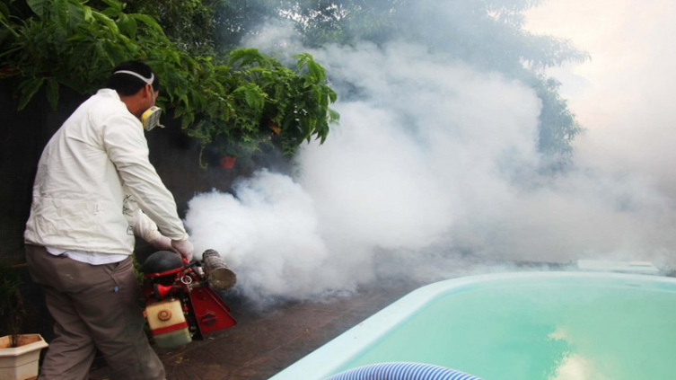 Paraguay con más de 24 mil casos de chikunguya