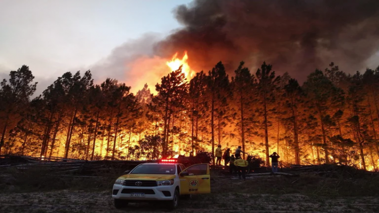 Los incendios no dan tregua en Corrientes