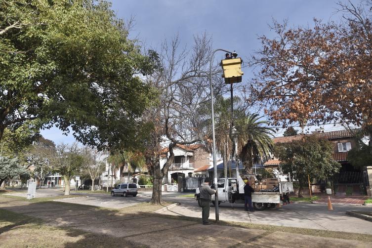 Trabajos de fumigación, iluminación y bacheo previstos para este jueves