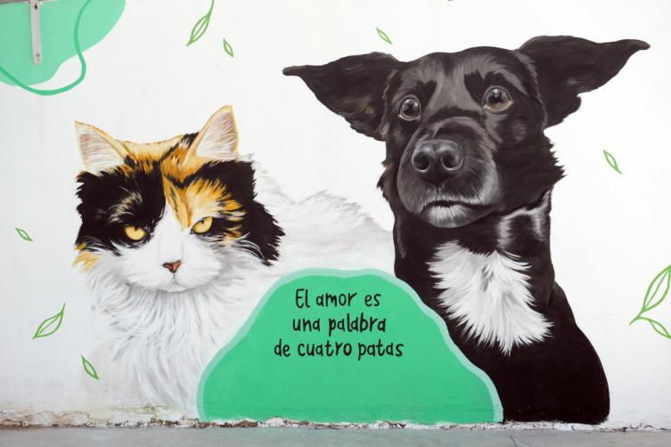 La Municipalidad propone actividades de concientización en el mes del Animal