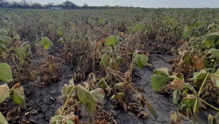 La provincia prorrogó la emergencia agropecuaria por la sequia