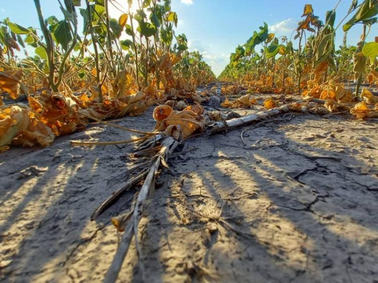 La provincia entregó aportes a productores afectados por la sequía