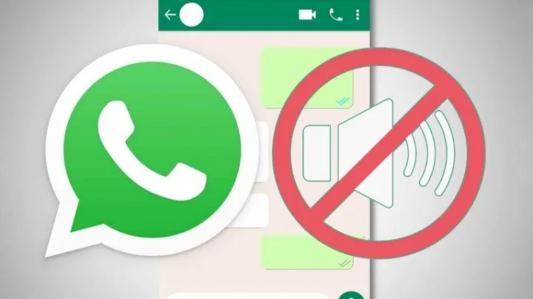WhatsApp: así recibís notificaciones de un solo contacto