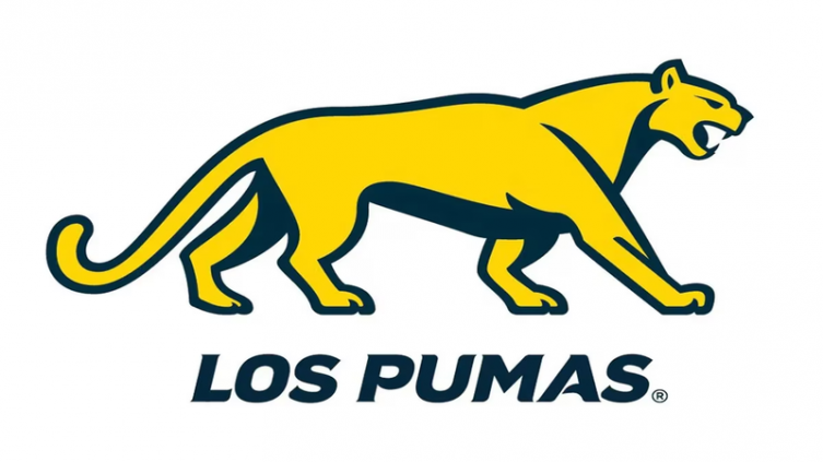 Los Pumas: la imagen del Puma se separa del logo de la UAR