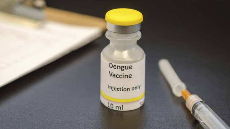 Dengue: tipos de vacunas disponibles en Argentina