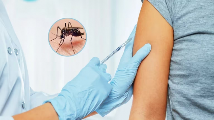 La ANMAT aprobó la vacuna contra el dengue