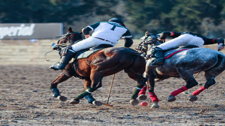 Primer Mundial de Arena Polo: Argentina será el anfitrión