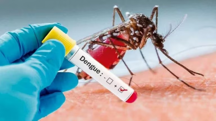 Dengue: qué implican los casos asintomáticos