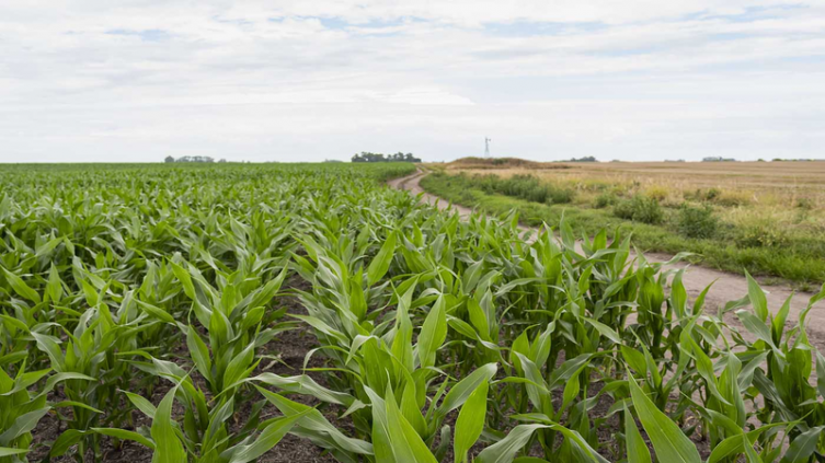 Simposio de Fertilizar: llaman a una agricultura sustentable 