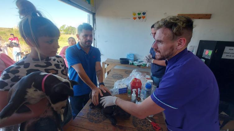 Castelló presentó un proyecto para crear el hospital público veterinario provincial