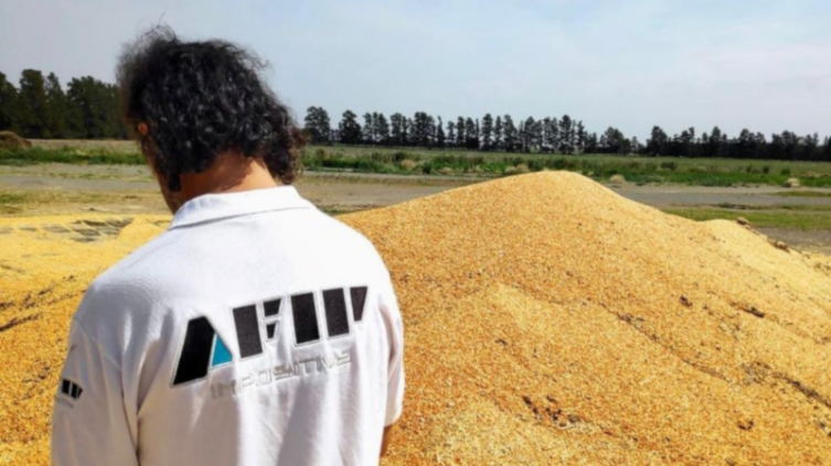 AFIP confiscó más de 1900 toneladas de maíz valuadas en $90 millones