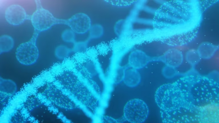 Identifican un gen  para elaborar nuevas terapias para combatir la obesidad