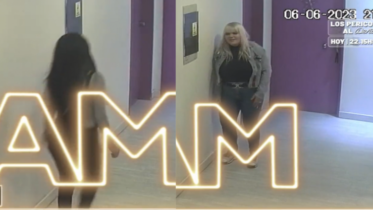 Ángel de Brito mostró el video de cómo robaron en LAM