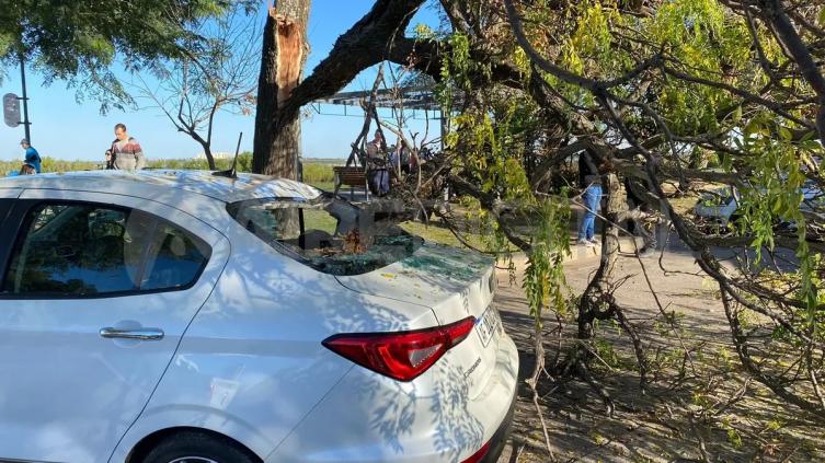 Una desgracia con suerte: tomaban mates dentro del auto y una rama les destrozó la luneta