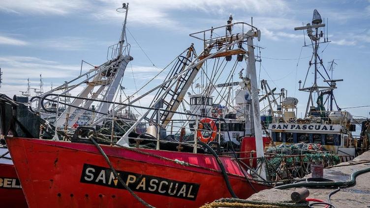 La actividad en el sector pesquero tuvo un crecimiento interanual del 3,6% en junio