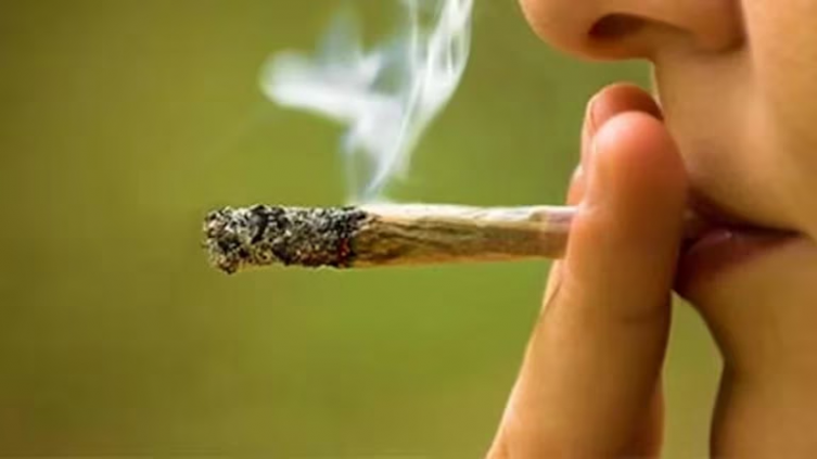 Marihuana: uno de cada 5 consumidores sufre dependencia