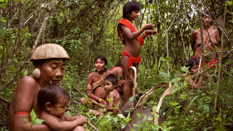 El máximo tribunal de Brasil falló a favor de indígenas sobre tierras ancestrales