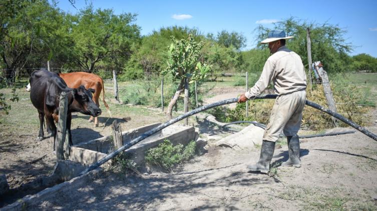 Abren la reinscripción para productores con certificado de Emergencia Agropecuaria afectados por la sequía