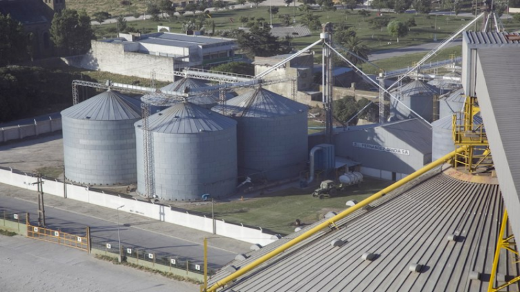 Argentina pierde un liderazgo de 25 años como exportador mundial de harina de soja