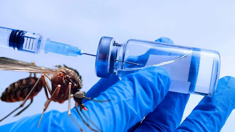 Vacuna contra el dengue: cuándo llega y cuánto costará en la Argentina