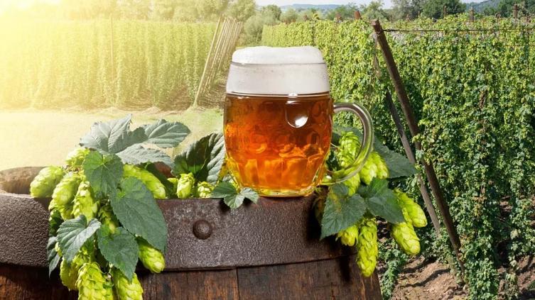 ¿El cambio climático podría modificar el sabor de la cerveza?