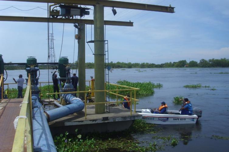 Assa advirtió que por la cantidad de camalotes hay poca captación de agua