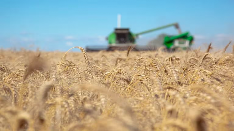 Campo: el impacto en el agro de la prohibición de restricciones a las exportaciones