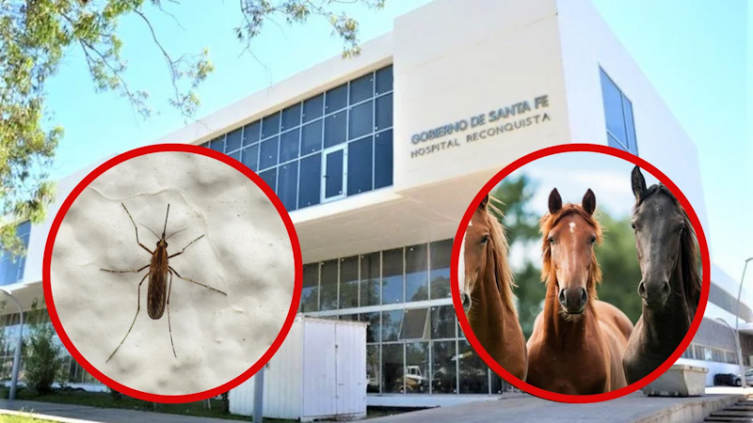 Encefalitis equina: fue dado de alta el peón rural