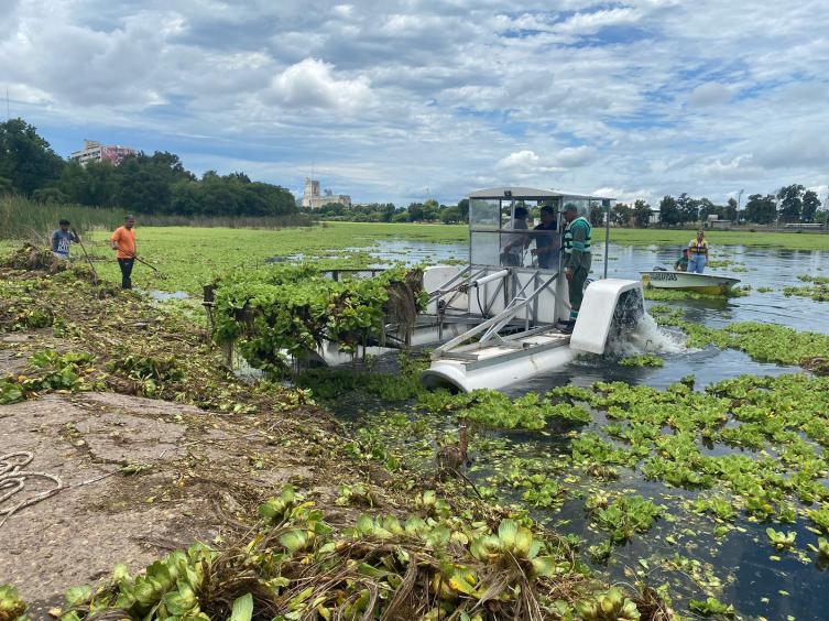 Comenzó a trabajar la cosechadora acuática en el lago del Parque Sur