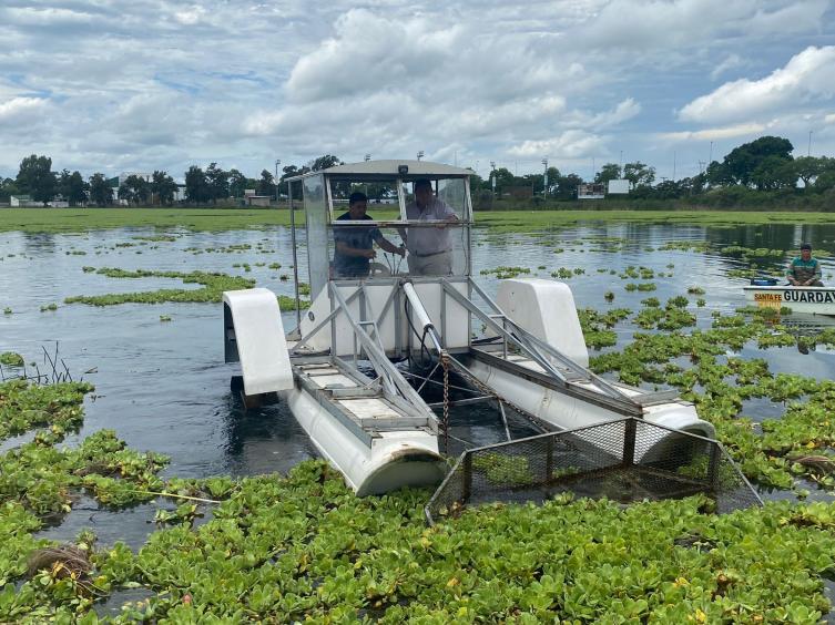 Lago del Parque Sur: con la cosechadora acuática en acción estiman que 