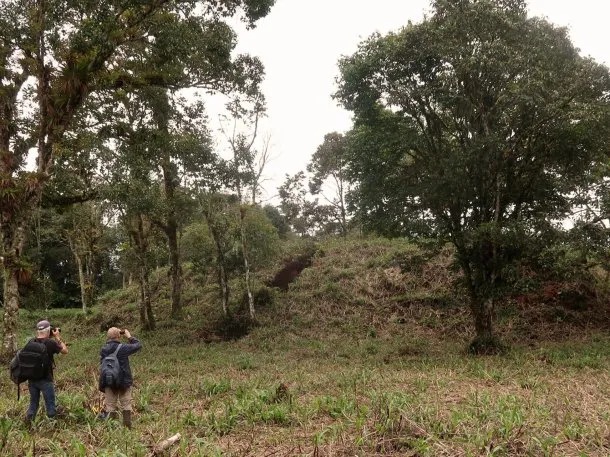 Ecuador: descubrieron una civilización de hace 2.500 años