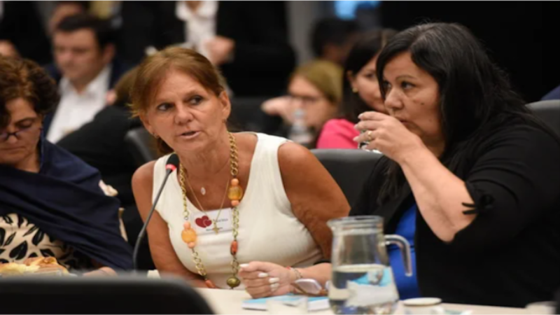 Diputados: relato de la mamá de Chano sobre adicciones y Salud Mental