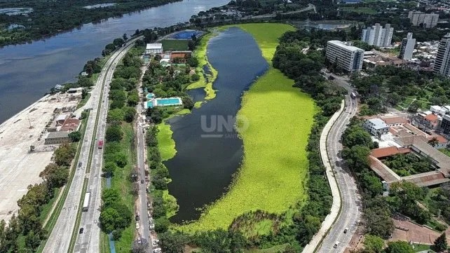 La Municipalidad estima que ya retiró el 30% de los repollitos del lago del Parque del Sur