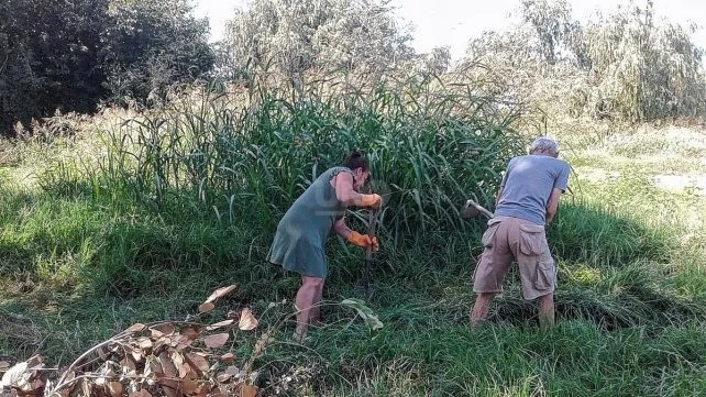 Ante la falta de respuestas, vecinos de barrio Fomento 9 de Julio cortan los yuyos por sus propios medios