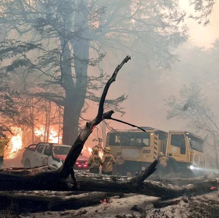 Ofrecen millonaria recompensa para saber quién originó el incendio en el Parque Nacional Los Alerces