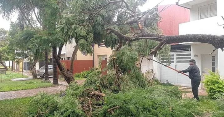 Luego del sofocante calor, llegó la lluvia a la ciudad: cayeron hasta 30 milímetros y hubo 35 reclamos por caída de árboles